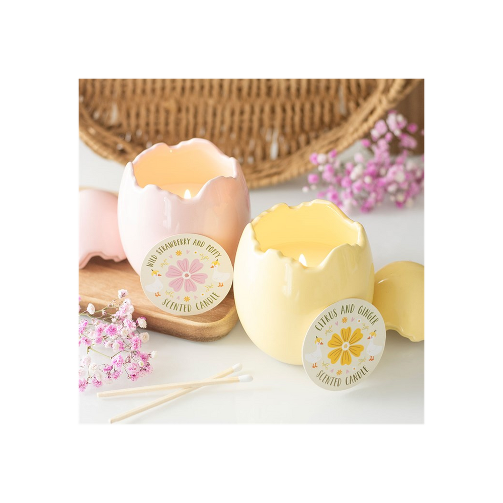 Citrus & Ginger Egg Shaped Candle