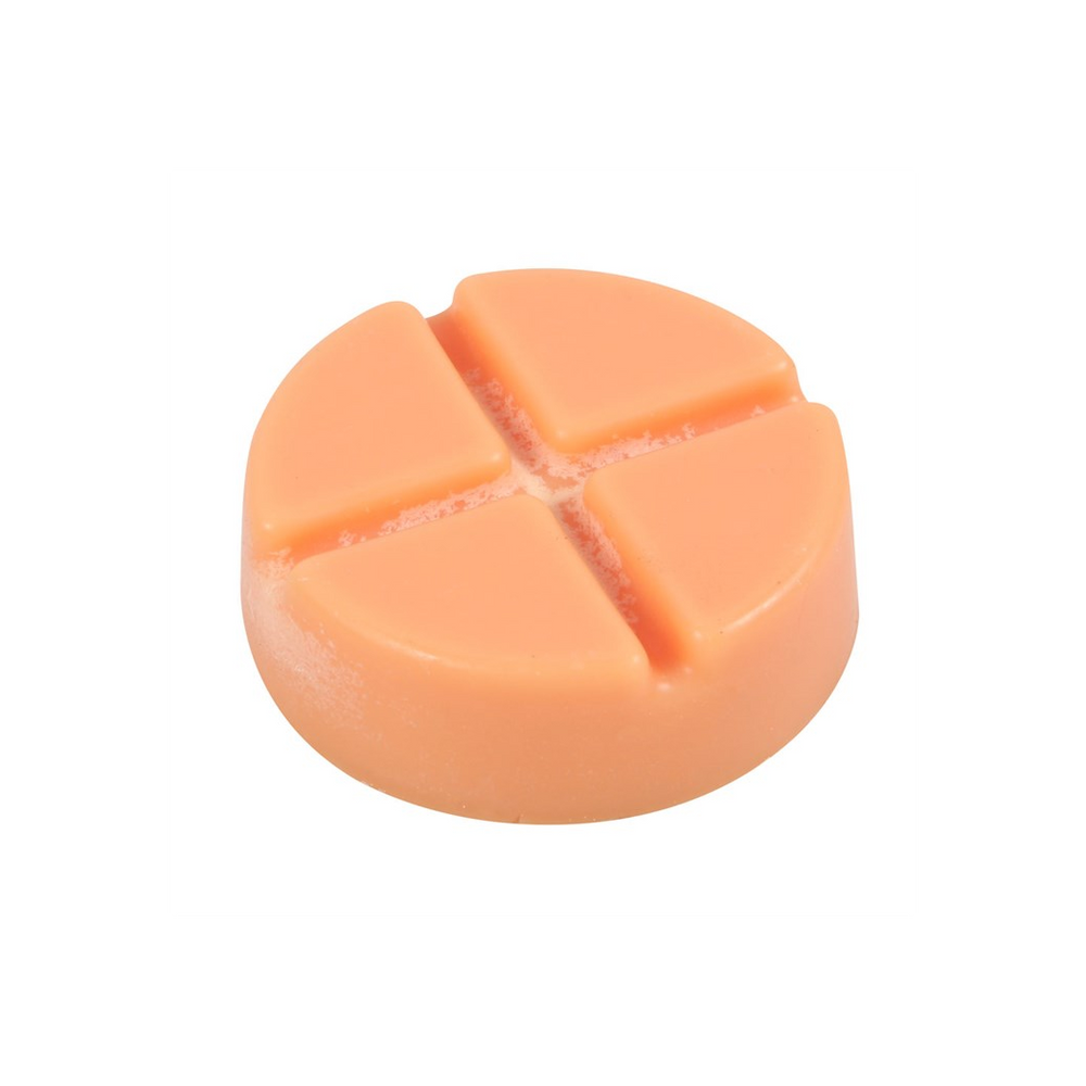 Spiced Pumpkin Soy Wax Snap Disc